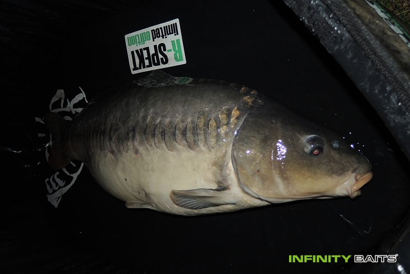 report Pan Šedivec Infinity Baits