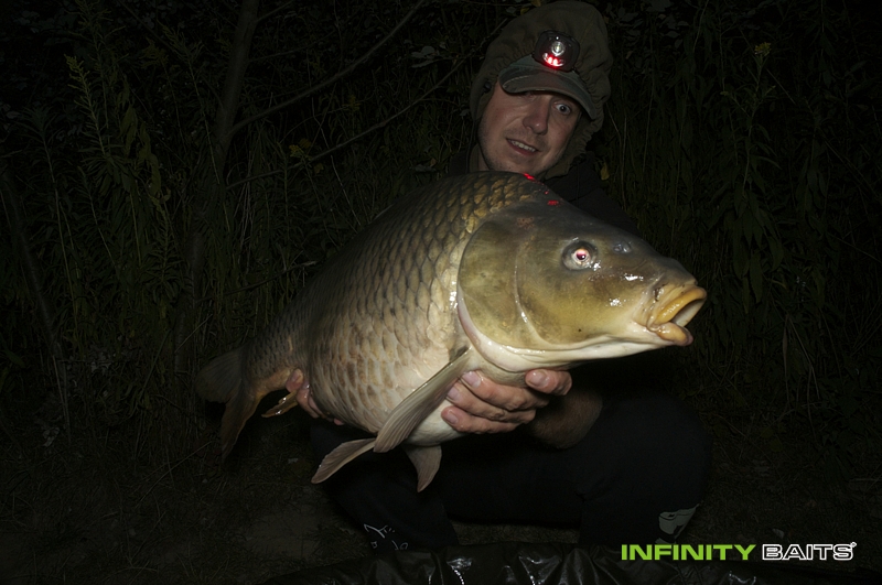 report Masakr s N1 Infinity baits