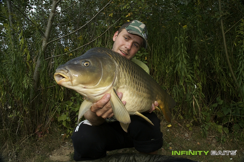 report Masakr s N1 Infinity baits