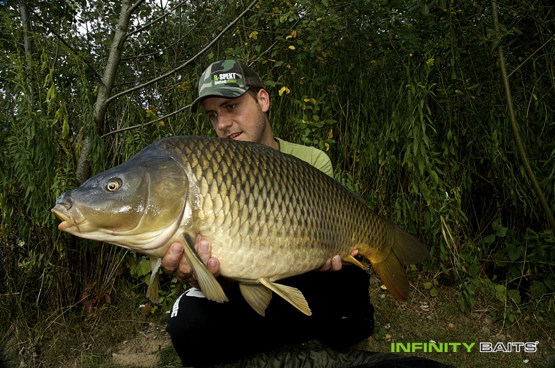 report Masakr s N1 Infinity baits