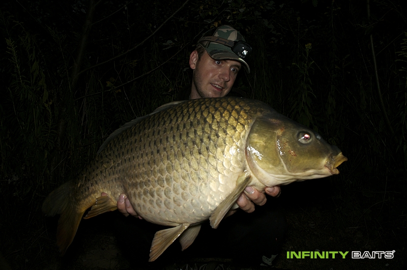 report Masakr s N1 Infinity baits