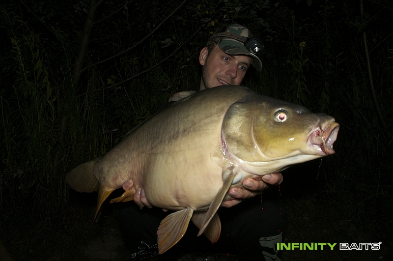 report Masakr s N1 Infinity baits