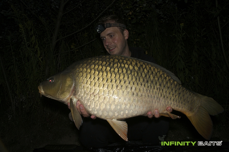 report Masakr s N1 Infinity baits