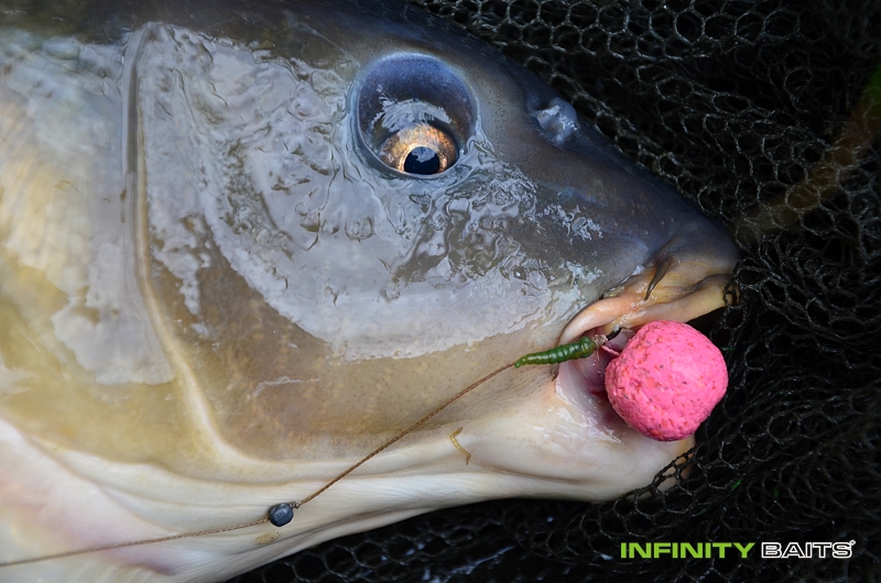 report Neplánovaný výlet Infinity Baits