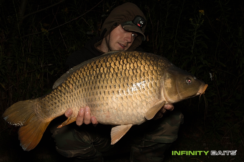 report Znovu a stále poprvé Infinity Baits