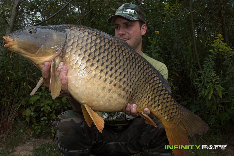 report Znovu a stále poprvé Infinity Baits