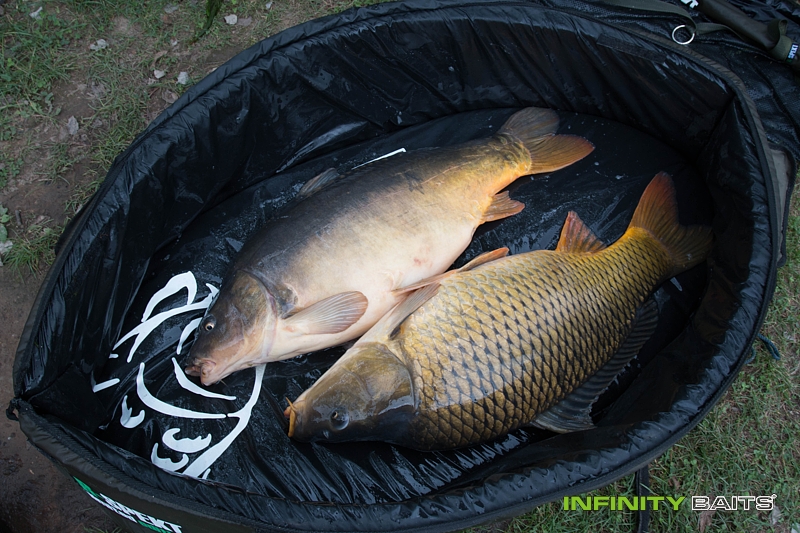 report Znovu a stále poprvé Infinity Baits