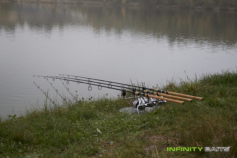 report Dole v dole Infinity Baits