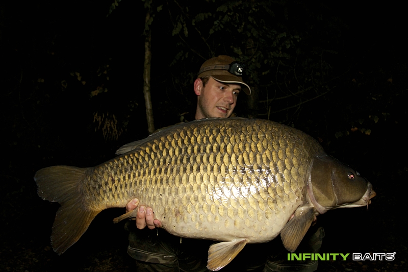 report Dole v dole Infinity Baits