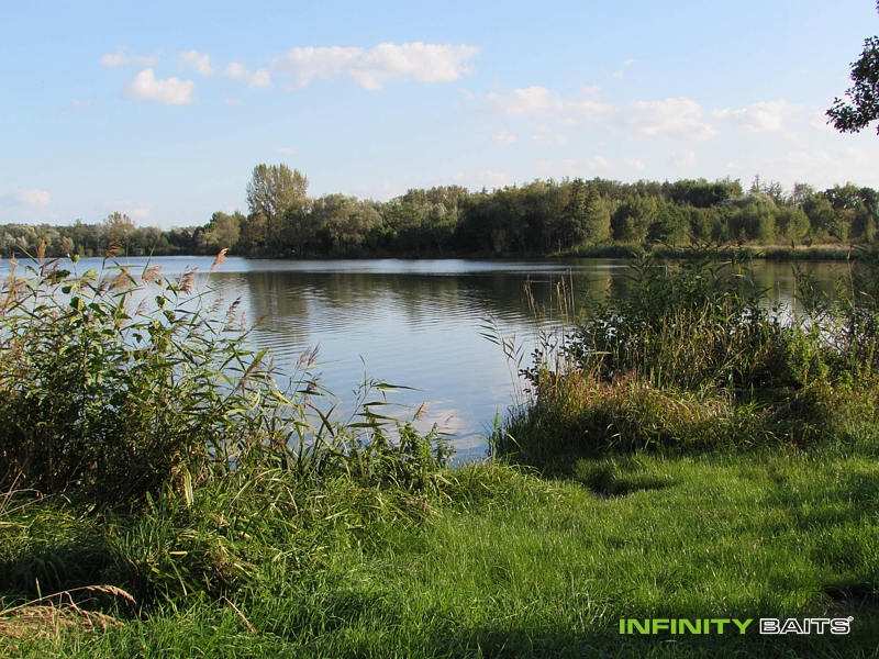 report Poděbradský maraton Infinity Baits