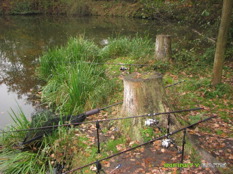 report Po letech Infinity Baite