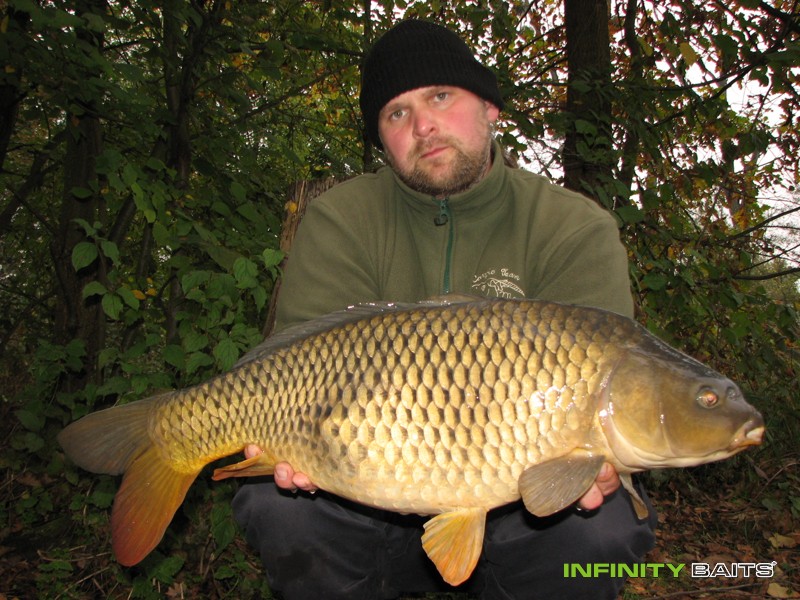 report Po letech Infinity Baite