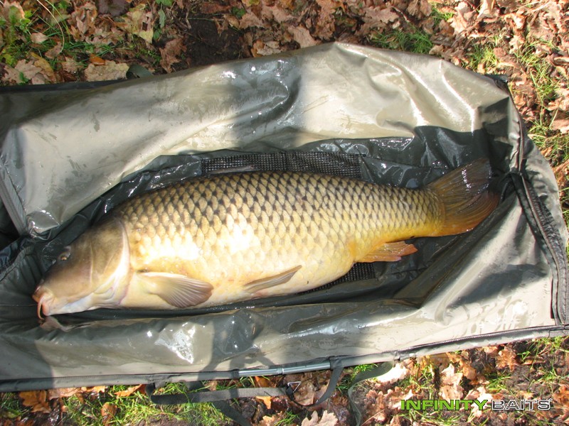 report Po letech Infinity Baits