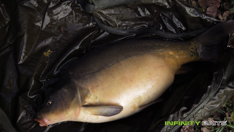 report Nové místo Infinity Baits