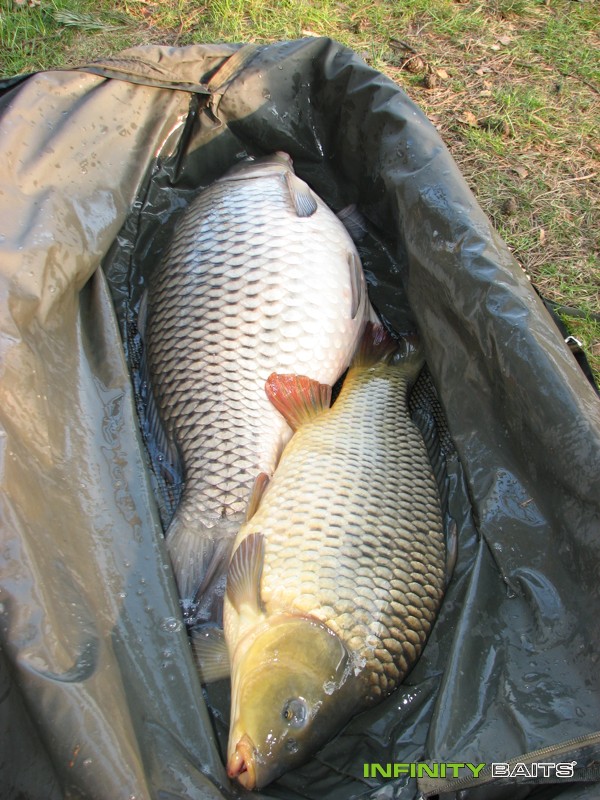 report Opět N1 Infinity Baits