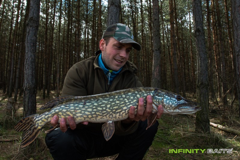 report Línobraní Infinity Baits