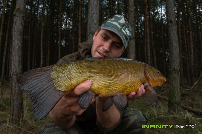 report Línobraní Infinity Baits