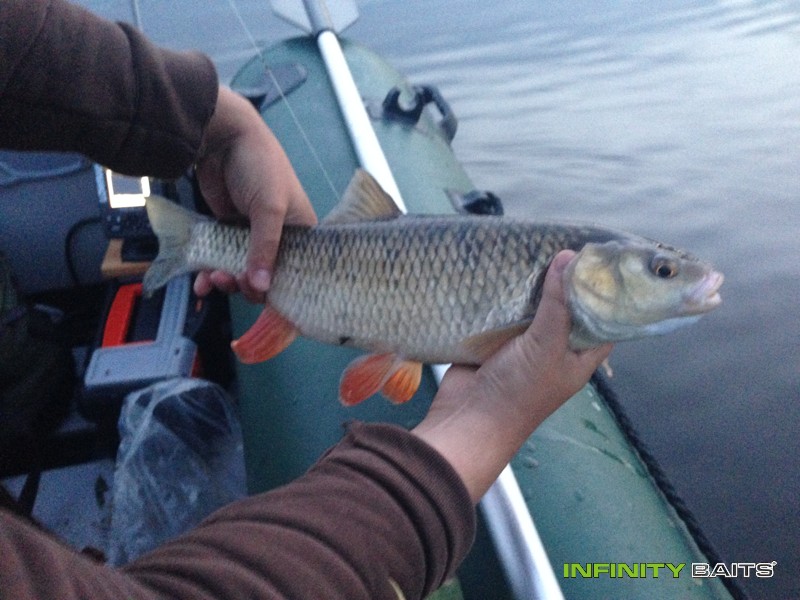 report Pět nocí na třech revírech Infinity Baits