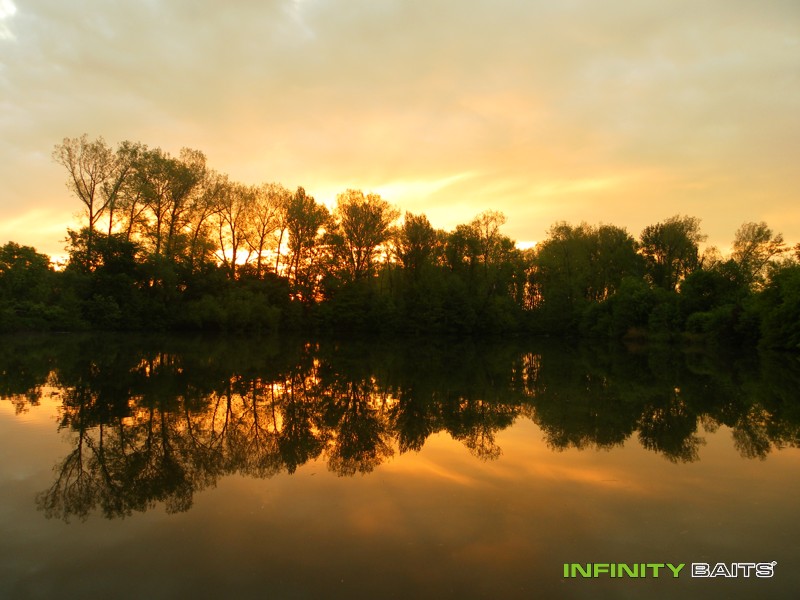 report Na samotě u Labe Infinity Baits