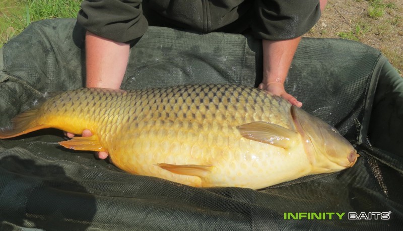 report Rybařina trochu jinak Infinity Baits