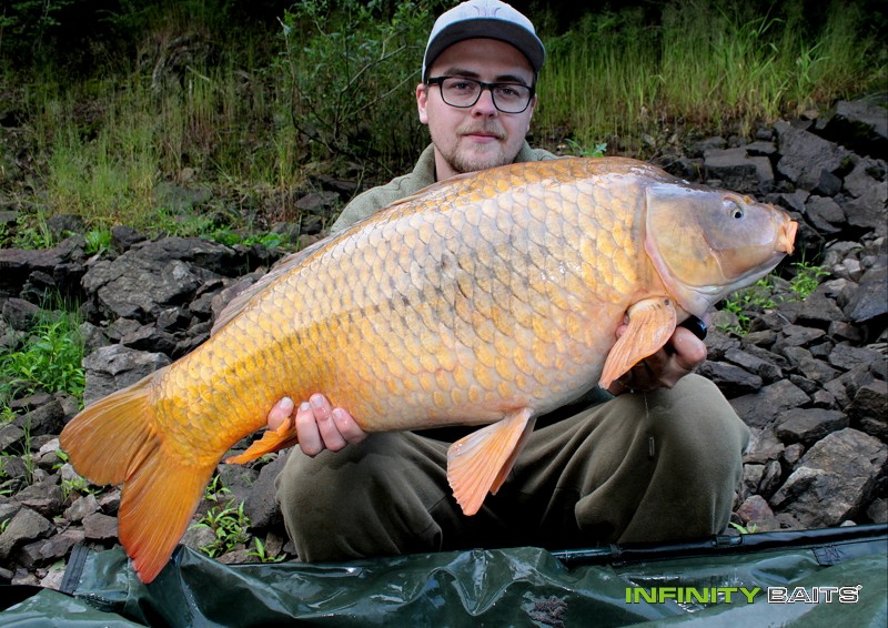 report Pod hákem Wasabi Infinity Baits