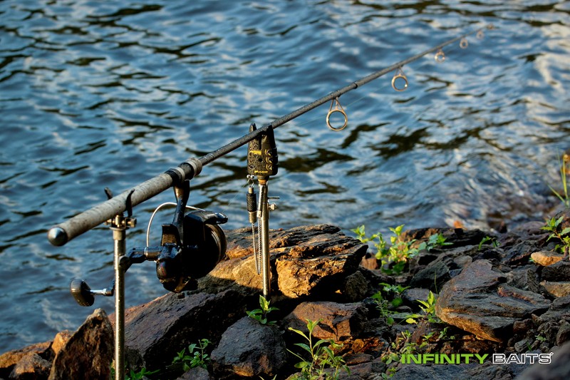 report Pod hákem Wasabi Infinity Baits