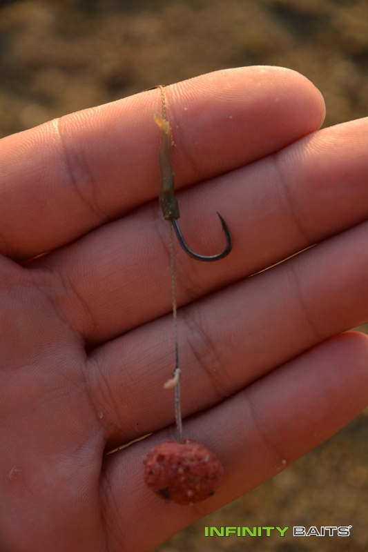 report Nic není nalehko Infinity Baits