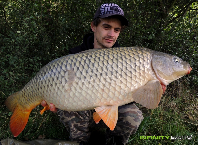 report Banánobraní Infinity Baits