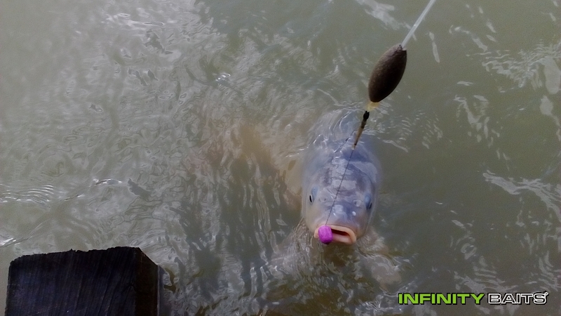 report Dvě březnové vycházky Infinity Baits