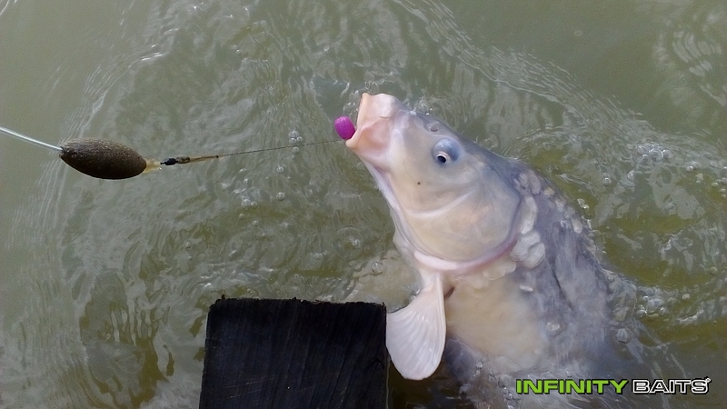 report Dvě březnové vycházky Infinity Baits
