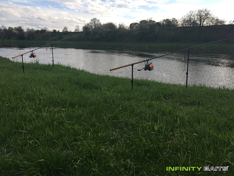 report První Labský kapr Infinity baits