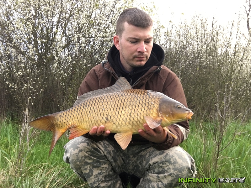 report První Labský kapr Infinity baits