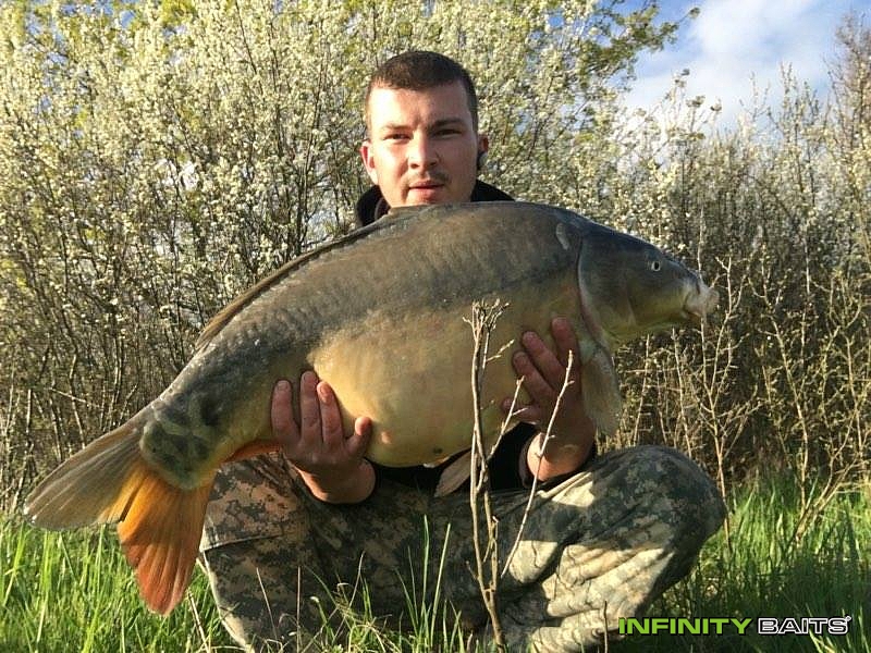 klikni pro zvětšení report První Labský kapr Infinity baits