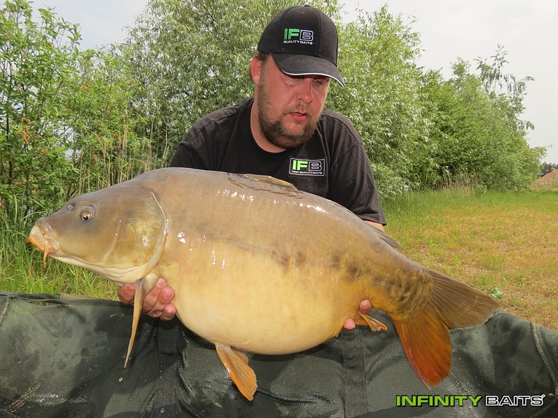 report N1 jede Infinity Baits