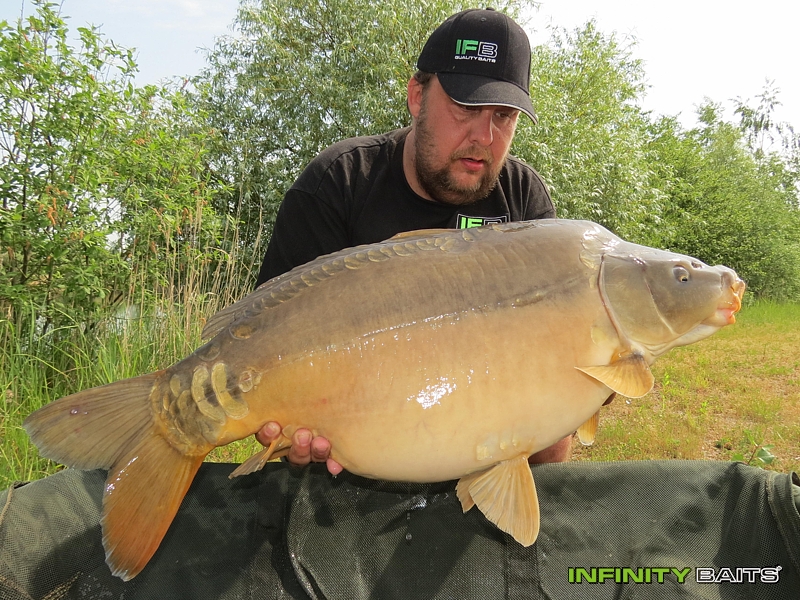 report N1 jede Infinity Baits