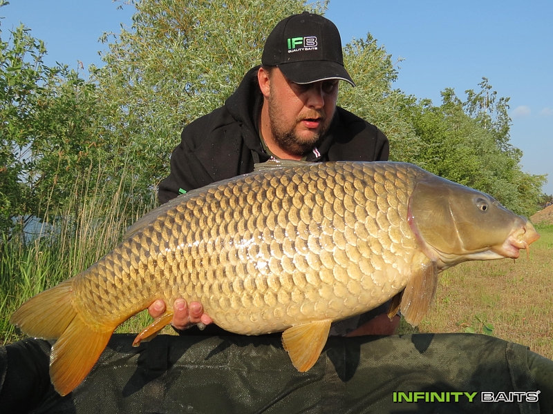 report N1 jede Infinity Baits