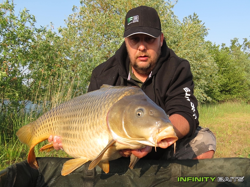 report N1 jede Infinity Baits