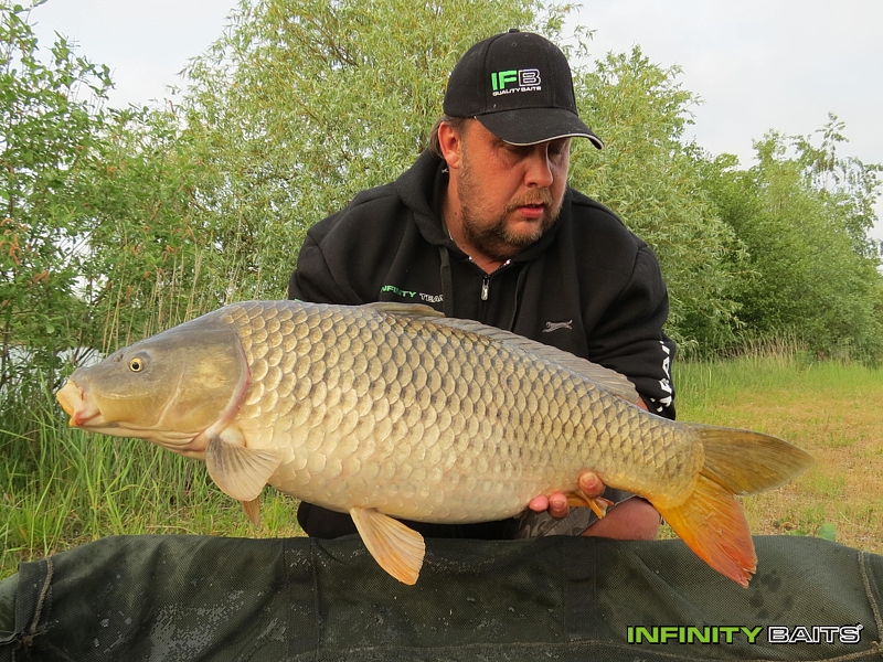report N1 jede Infinity Baits