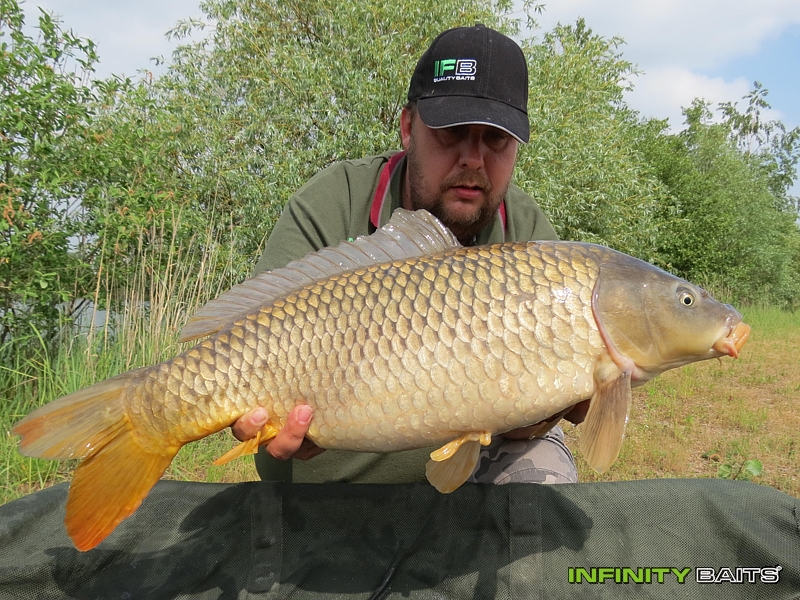 report N1 jede Infinity Baits