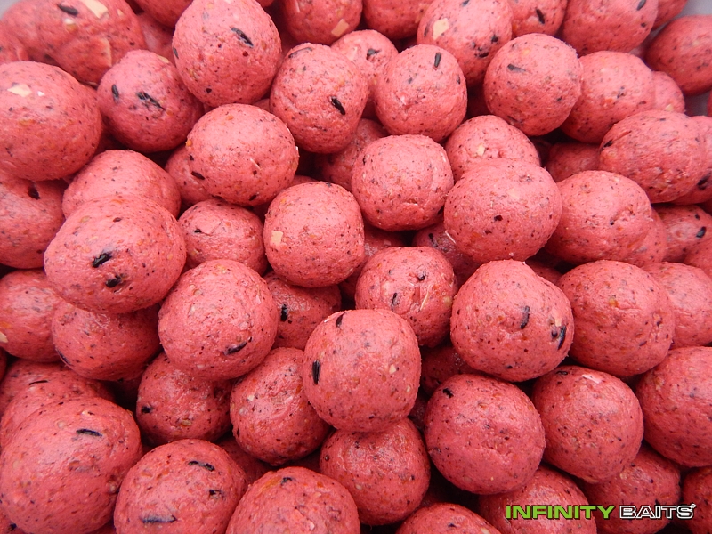 report Na zátoce 2 Infinity Baits