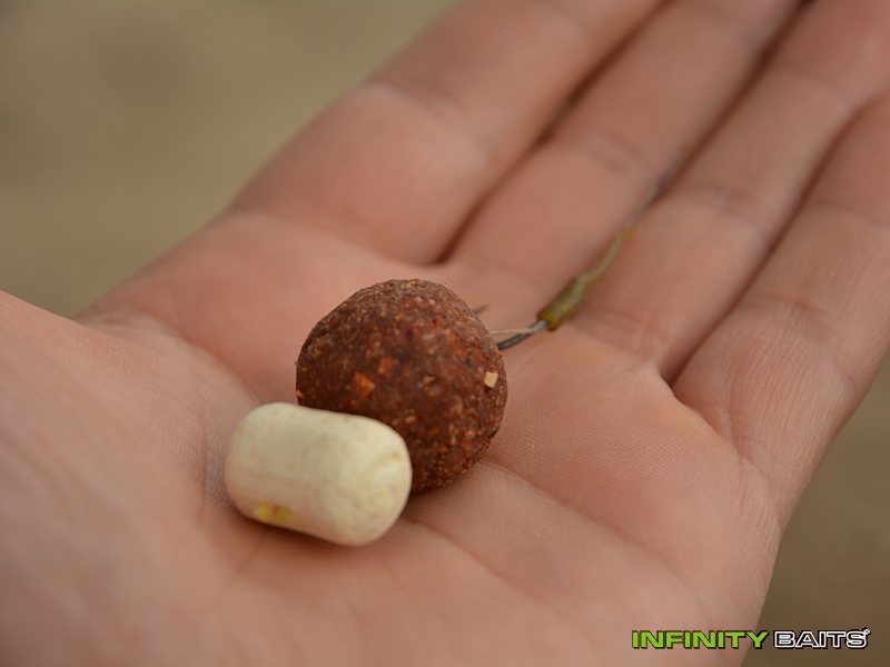 report Ve znamení dravce Infinity Baits