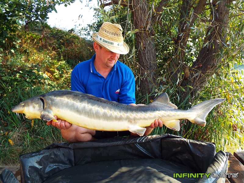 report Rozpálené letní dny Infinity Baits