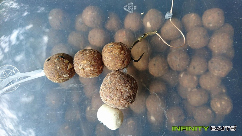klikni pro zvětšení report V nesprávný čas na správném místě Infinity Baits
