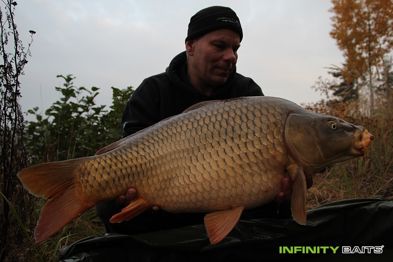 report Risk je zisk Infinity Baits