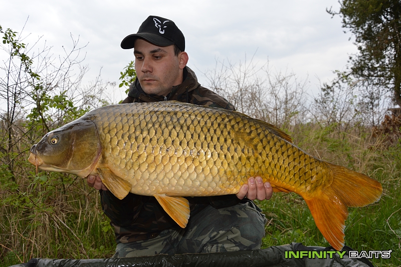 klikni pro zvětšení report Jarní pískovna Infinity Baits