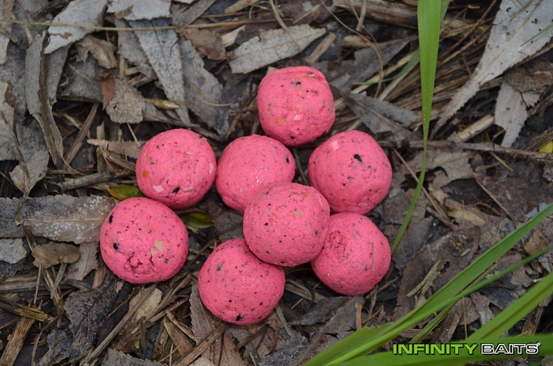 report Jako každý rok Infinity Baits