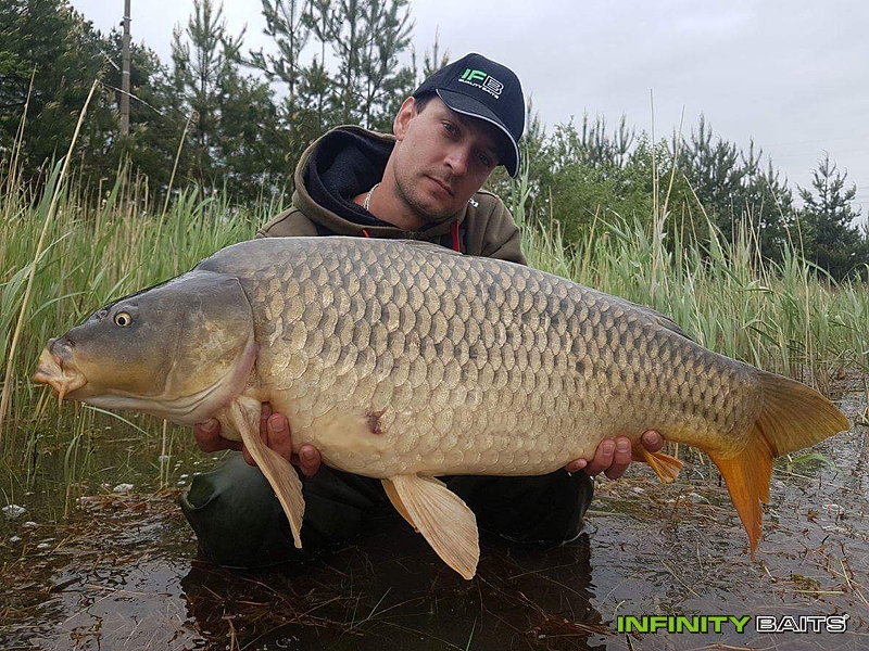 klikni pro zvětšení report IFBčka spolu na rybách Infinity Baits