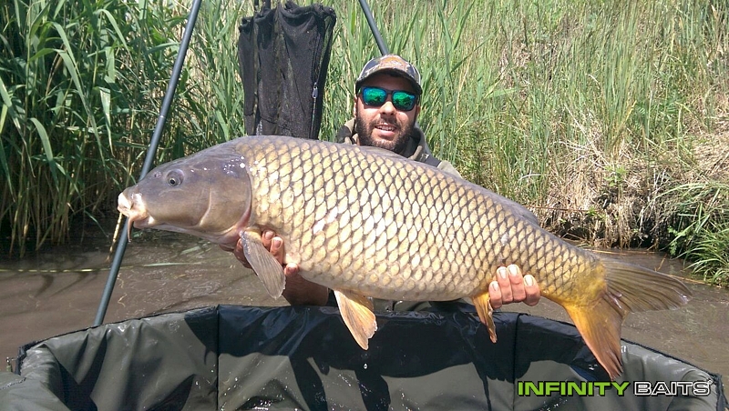 klikni pro zvětšení report Wasabi v akci Infinity Baits