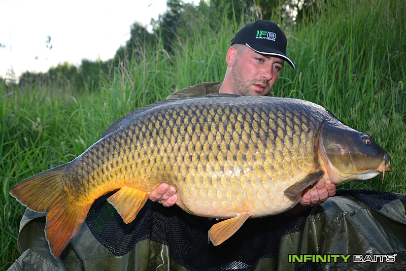 report Po létech Infinity Baits
