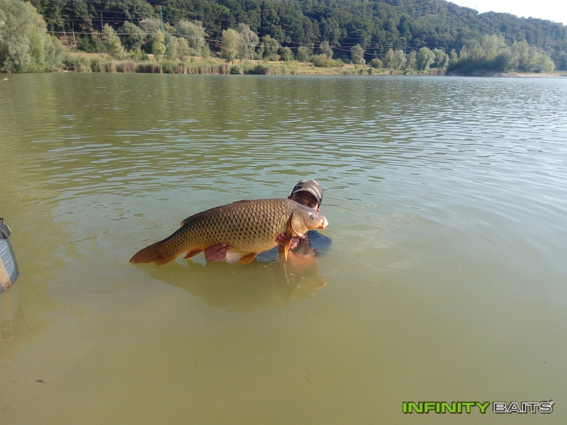 klikni pro zvětšení report Monster Crab v akci Infinity Baits